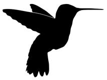 Silhouette Of Hummingbird Royalty Free Stock Image
