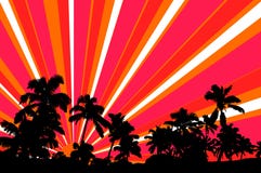Silhouette palms trees with vector sun rays Royalty Free Stock Image Silhouette palms trees with vector sun rays Royalty Free Stock Image