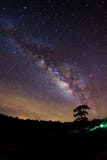 Silhouette of Tree and Milky Way. Long exposure photograph