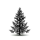 Spruce Stock Illustrations – 34,748 Spruce Stock Illustrations, Vectors