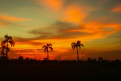 Silhouette of the tree and the sunset light orange - in the sky beautiful landscape in the nature stock image Silhouette of the tree and the sunset light orange - in the sky beautiful landscape in the nature stock image
