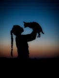 Silhouette of young girl and her little dog on sunset Royalty Free Stock Images Silhouette of young girl and her little dog on sunset Royalty Free Stock Images