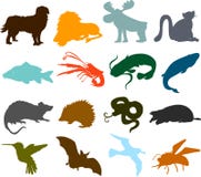 Silhouettes animales illustration de vecteur Silhouettes animales illustration de vecteur