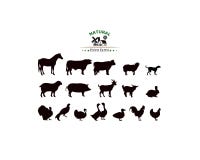 Silhouettes d'animaux de ferme de vecteur d'isolement sur le blanc illustration stock Silhouettes d'animaux de ferme de vecteur d'isolement sur le blanc illustration stock
