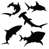 Silhouettes de requin réglées illustration libre de droits Silhouettes de requin réglées illustration libre de droits