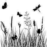 Silhouettes Of Butterflies And Dragonflies Royalty Free 