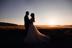 Silhouettes of luurious wedding couple hugging Royalty Free Stock Image Silhouettes of luurious wedding couple hugging Royalty Free Stock Image