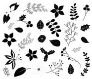 Silhouettes noires de feuillage d'hiver avec des fleurs, feuilles, branches illustration stock Silhouettes noires de feuillage d'hiver avec des fleurs, feuilles, branches illustration stock