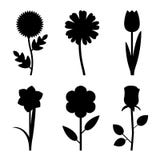 Silhouettes noires de fleurs illustration stock Silhouettes noires de fleurs illustration stock