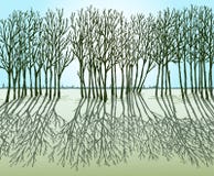 Silhouettes Of Trees And Their Shadows In A Spring Sunny Day Royalty Free Stock Photography Silhouettes Of Trees And Their Shadows In A Spring Sunny Day Royalty Free Stock Photography