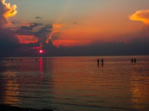 Silhouettes of people walking on the sea in the background of sunset royalty free stock photo Silhouettes of people walking on the sea in the background of sunset royalty free stock photo
