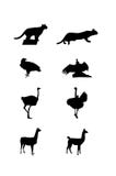 Silhouettes of a South America animals stock illustration Silhouettes of a South America animals stock illustration