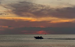 Silhouettes tropicales de coucher du soleil photos stock Silhouettes tropicales de coucher du soleil photos stock