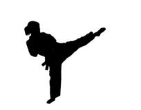 Silhueta da menina de taekwondo