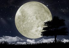 Silhueta de uma árvore de encontro à lua grande ilustração stock Silhueta de uma árvore de encontro à lua grande ilustração stock