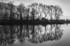 Silueta blanco y negro del árbol en tiempo de la salida del sol imagenes de archivo Silueta blanco y negro del árbol en tiempo de la salida del sol imagenes de archivo