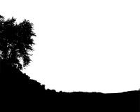 Silueta del bosque negro Aislado en el fondo blanco Vector ilustración del vector Silueta del bosque negro Aislado en el fondo blanco Vector ilustración del vector