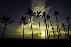 Siluetee la imagen del árbol de coco, de la luz del sol y de la nube dramática imagen de archivo libre de regalías Siluetee la imagen del árbol de coco, de la luz del sol y de la nube dramática imagen de archivo libre de regalías