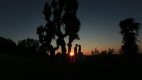 Siluetta delle coppie felici di nozze che baciano morbidamente sui precedenti della foresta Tramonto meraviglioso in campagna stock footage Siluetta delle coppie felici di nozze che baciano morbidamente sui precedenti della foresta Tramonto meraviglioso in campagna stock footage