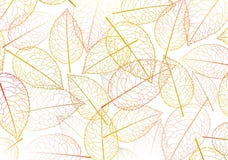 Siluetta di autunno del foglio illustrazione vettoriale Siluetta di autunno del foglio illustrazione vettoriale