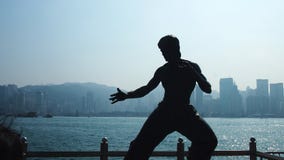 Siluetta di Bruce Lee vicino al porto immagini stock libere da diritti Siluetta di Bruce Lee vicino al porto immagini stock libere da diritti