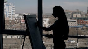 Siluetta di scrittura esperta della donna di affari di direttore su una lavagna di carta in ufficio moderno donna principale archivi video Siluetta di scrittura esperta della donna di affari di direttore su una lavagna di carta in ufficio moderno donna principale archivi video