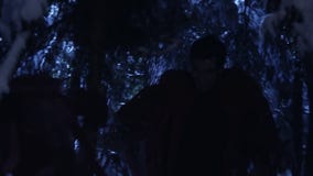 Siluette scure di due persone che camminano nella foresta nevosa di inverno alla notte silenziosa video d archivio Siluette scure di due persone che camminano nella foresta nevosa di inverno alla notte silenziosa video d archivio
