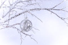 Silver & Clear Christmas Ornament On Branch Stock Image Silver & Clear Christmas Ornament On Branch Stock Image