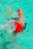 simmare royaltyfria bilder simmare royaltyfria bilder