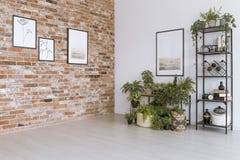 Simple living room with pictures stock photos Simple living room with pictures stock photos
