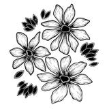 Simple Silhouettes Of Daisies Black And White Set Stock Photo