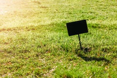 Sinal para o texto no gramado verde Copie o espaço, zombaria acima fotografia de stock Sinal para o texto no gramado verde Copie o espaço, zombaria acima fotografia de stock