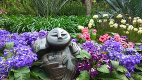 Singapore medborgareOrchidea Garden staty royaltyfri fotografi Singapore medborgareOrchidea Garden staty royaltyfri fotografi