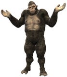 Singe Gorilla Clueless Shrug Isolated illustration libre de droits Singe Gorilla Clueless Shrug Isolated illustration libre de droits