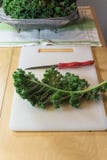 Single curly kale leaf and red handled knife on a white cutting board Stock Images Single curly kale leaf and red handled knife on a white cutting board Stock Images