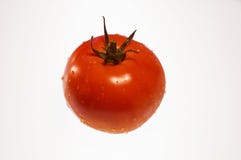 Single Red, Ripe Tomato Covered With Water Droplets Viewed From Royalty Free Stock Photography