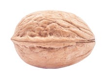 single-walnut-isolated-white-background-photographed-macro-lens-43577373.jpg