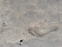 Singola orma sulla sabbia bagnata della spiaggia fotografie stock libere da diritti Singola orma sulla sabbia bagnata della spiaggia fotografie stock libere da diritti