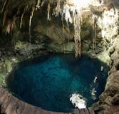 Sinkhole subterr?neo do rio conhecido como ?o cenote ? imagens de stock royalty free Sinkhole subterr?neo do rio conhecido como ?o cenote ? imagens de stock royalty free