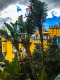 Sintra-Schloss lizenzfreie stockbilder Sintra-Schloss lizenzfreie stockbilder