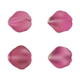 Sistema blando de los pétalos color de rosa, aislado en blanco, ejemplo ilustración del vector Sistema blando de los pétalos color de rosa, aislado en blanco, ejemplo ilustración del vector