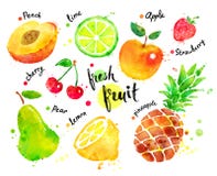Sistema colorido de la acuarela de fruta libre illustration Sistema colorido de la acuarela de fruta libre illustration