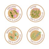 Sistema de etiquetas de los aceites esenciales Orégano, tomillo, mejorana, romero ilustración del vector Sistema de etiquetas de los aceites esenciales Orégano, tomillo, mejorana, romero ilustración del vector