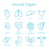 Sistema de iconos del contorno con los orangs humanos ilustración del vector Sistema de iconos del contorno con los orangs humanos ilustración del vector