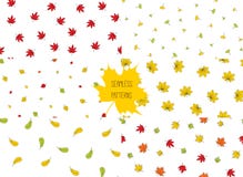 Sistema de modelos de las hojas de otoño stock de ilustración Sistema de modelos de las hojas de otoño stock de ilustración
