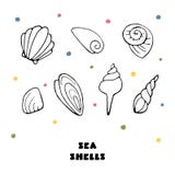 Sistema del icono del vector de las c?scaras del mar libre illustration Sistema del icono del vector de las c?scaras del mar libre illustration