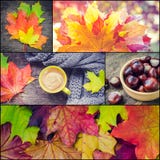 Sistema del otoño, collage de las fotos Fotografía de archivo Sistema del otoño, collage de las fotos Fotografía de archivo