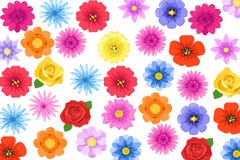 Sistema del vector de flores del verano aisladas en el fondo blanco libre illustration Sistema del vector de flores del verano aisladas en el fondo blanco libre illustration