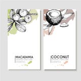 Sistema del vector de ingredientes del cuidado del cabello Elementos dibujados mano orgánica Aviadores con la macadamia y el coco ilustración del vector Sistema del vector de ingredientes del cuidado del cabello Elementos dibujados mano orgánica Aviadores con la macadamia y el coco ilustración del vector