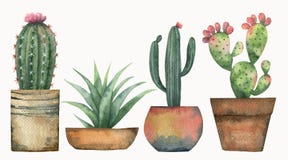 Sistema del vector de la acuarela de cactus y de plantas suculentas aislados en el fondo blanco ilustración del vector Sistema del vector de la acuarela de cactus y de plantas suculentas aislados en el fondo blanco ilustración del vector